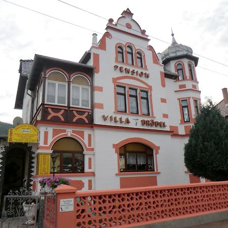 Pension Villa Broedel Bad Blankenburg Exterior foto